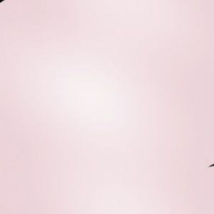 Meet your Posher, Aial